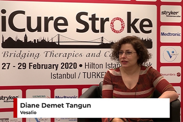 iCure Stroke 2020 Interview | Vesalio - Diane Demet Tangun